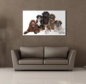 KÖPEK TOPLULUĞU KANVAS TABLO thumbnail 2