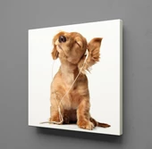 MÜZİK DİNLEYEN KÖPEK KANVAS TABLO thumbnail 1