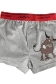 Miorre Erkek Çocuk Boxer thumbnail 1