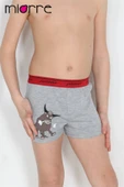 Miorre Erkek Çocuk Boxer thumbnail 6