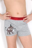 Miorre Erkek Çocuk Boxer thumbnail 2