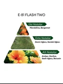 David Walker E81 Flash Two 50 ml Erkek Parfüm | Woody thumbnail 4