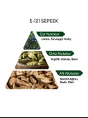 David Walker E121 Sepeek 50 ml Erkek Parfüm | Aromatic thumbnail 4