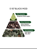 David Walker E157 Black Mod 50 ml Erkek Parfüm | Woody thumbnail 4