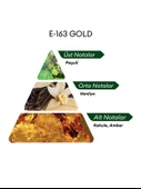 David Walker E163 Gold 50 ml Erkek Parfüm | Aromatic thumbnail 4