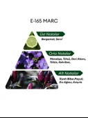 David Walker E165 Marc 50 ml Erkek Parfüm | Woody thumbnail 4