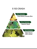 David Walker E153 Crash 50 ml Erkek Parfüm | Aromatic thumbnail 4