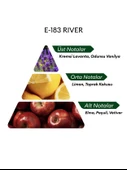 David Walker E183 River 50 ml Erkek Parfüm | Aromatic thumbnail 4