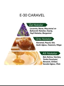 David Walker E30 Caravel 50 ml Erkek Parfüm | Aromatic thumbnail 4