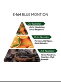 David Walker E164 Blue Motion 50 ml Erkek Parfüm | Citrus thumbnail 4