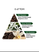 David Walker E67 Tom 50 ml Erkek Parfüm | Aromatic thumbnail 4