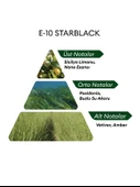 David Walker E10 Starblack 50 ml Erkek Parfüm | Nature thumbnail 4