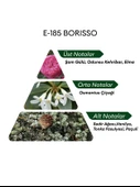 David Walker E185 Borisso 50 ml Erkek Parfüm | Aromatic thumbnail 4