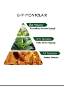 David Walker E171 Montclair 50 ml Erkek Parfüm | Aromatic thumbnail 4