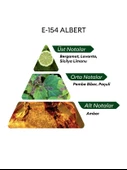 David Walker E154 Albert 50 ml Erkek Parfüm | Aromatic thumbnail 4