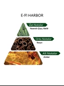 David Walker E91 Harbor 50 ml Erkek Parfüm | Woody thumbnail 4