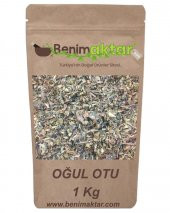 BenimAktar Oğul Otu 1 Kg thumbnail 1