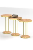 Zigon Sehpa Terra Gold Ceviz thumbnail 4
