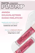PASTEL PROFASHION PLUMP UP EXTRA HYDRAYTING PLUMPING GLOSS 211 thumbnail 4