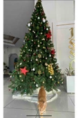 Winterfest Yılbaşı Ağacı 300 Cm 1750 Dal thumbnail 4