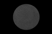 Staleks Disk Zımpara 240 Grit (Medium) thumbnail 3