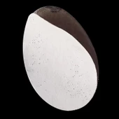 Staleks Disk Zımpara 240 Grit (Medium) thumbnail 2