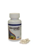 Mbv Glukozamin Palatable thumbnail 1