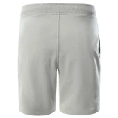 The North Face  Erkek STANDARD SHORT LIGHT NF0A3S4EHDF1 thumbnail 2