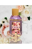 Betax Pudra Kolonyası 50ml thumbnail 2
