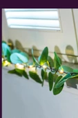 MAGICLEDCORNER Okaliptus Led Işıklı Garland thumbnail 3