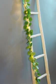 MAGICLEDCORNER Okaliptus Led Işıklı Garland thumbnail 2