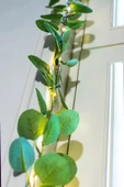 MAGICLEDCORNER Okaliptus Led Işıklı Garland thumbnail 4