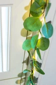 MAGICLEDCORNER Okaliptus Led Işıklı Garland thumbnail 5