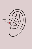 Gümüş Renk Çivi Model Piercing - EBJ241123W29515 thumbnail 2