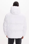 White COSMOS thumbnail 4