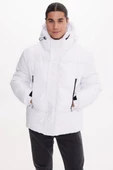 White COSMOS thumbnail 3