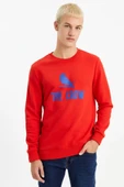 Red ZOOM thumbnail 1