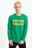 Olive Green PINN thumbnail 1