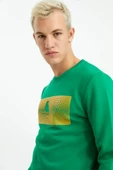 Olive Green PINN thumbnail 2