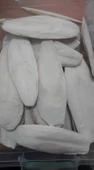 Kalamar kemiği 15-20 cm thumbnail 2