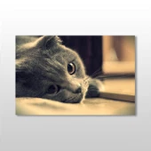 Siyah Kedi Kanvas Tablo thumbnail 1
