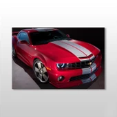 Mustang Kanvas Tablo thumbnail 1