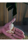 Handmade  Groot Anahtarlık thumbnail 1