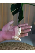 Handmade  Groot Anahtarlık thumbnail 2