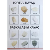 KAYAÇ KOLEKSİYON LEVHASI thumbnail 3