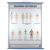 İNSANDA SİSTEMLER LEVHASI (70X100) thumbnail 1