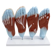AYAK MODELİ thumbnail 1