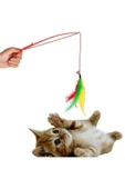 Pazariz Kedi Oltası - Fareli thumbnail 2