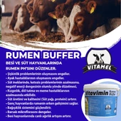 Vitavimin S500 Rumen Buffer thumbnail 2