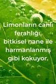 Method Lemon Mint Elde Bulaşık Deterjanı 532ML thumbnail 3